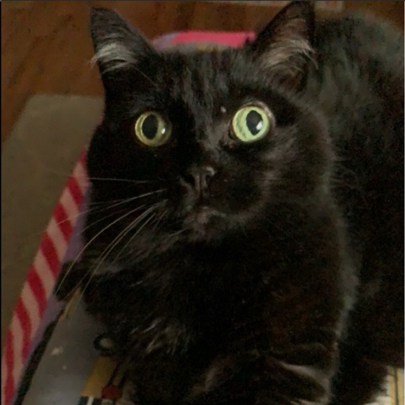 Share for share...⬇️⬇️⬇️⬇️. PLEASE read below. - Picture 11 of 16